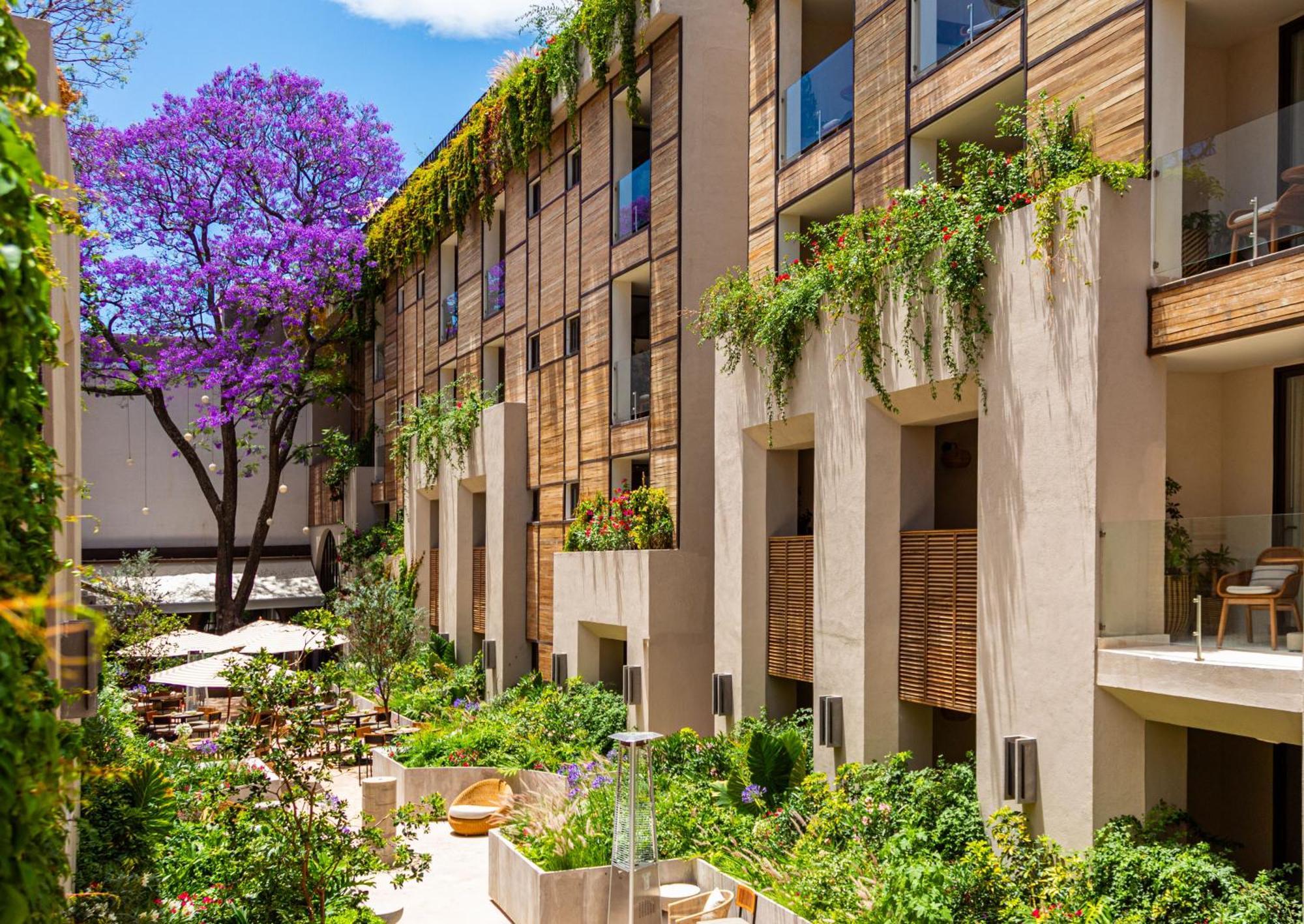 Numu Boutique Hotel, The Unbound Collection By Hyatt San Miguel de Allende Eksteriør bilde