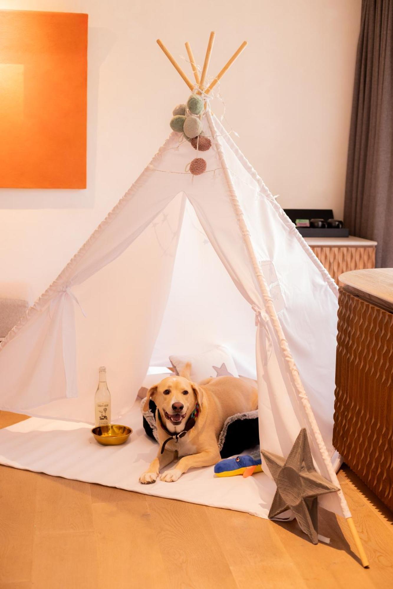 Numu Boutique Hotel, The Unbound Collection By Hyatt San Miguel de Allende Eksteriør bilde